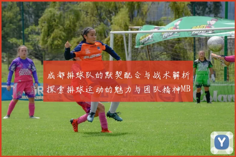 成都排球队的默契配合与战术解析探索排球运动的魅力与团队精神MBA