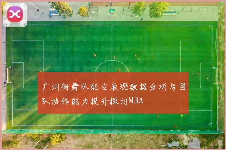广州街舞队配合表现数据分析与团队协作能力提升探讨MBA