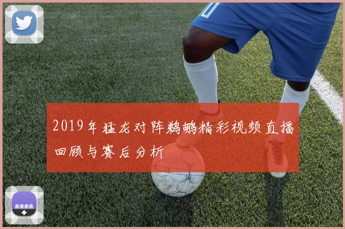 2019年猛龙对阵鹈鹕精彩视频直播回顾与赛后分析