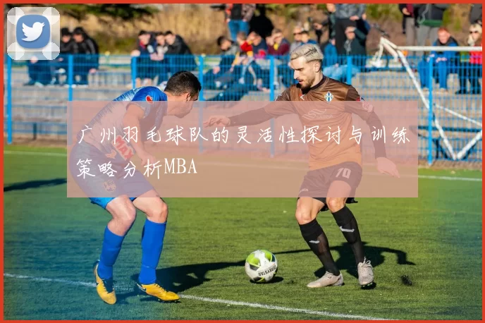 广州羽毛球队的灵活性探讨与训练策略分析MBA