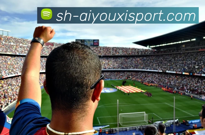 爱游戏体育平台生态图